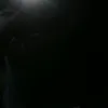 ebehaysuyy24