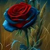 user7851031170793