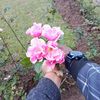 user3353020054543