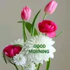 maran11422