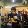 champion3522