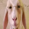 buterbrod.s.nutte