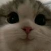 ahmad_kevin01