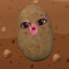 bunyypiwpwi