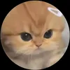 chanhzz7