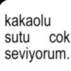 yagmurmuss_66