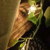 ayrat.jui