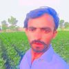 muhammadmujahaid350
