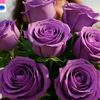user637451201636