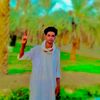 wd_mrein3