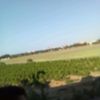 riydmahrez328
