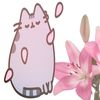 pusheen170