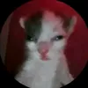 leonel_m70