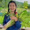 Kung khemoaksorn