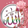 user8261609183243