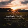 basmat.amal294