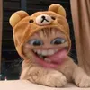diu.bngg4
