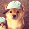 zki.luv__