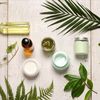 beauty_blog.tm