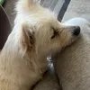 cxpture_yt