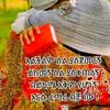 user2194792684551