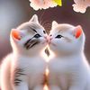 m.wakeel.dogar0