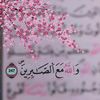 user3582069508447