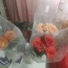 user6161062393817