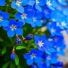 susan.13693