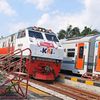 rododo829
