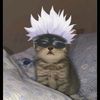 anime.cat84