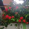 user8865858016211