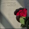 shimaahassan5360