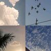 fatma_201493