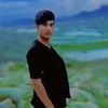 user55169733488157