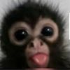 itz_aliegha0