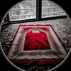 user5781705056772