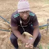 negu.fofona