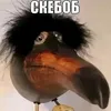 uiop_rtuu880