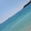 shsdmadnz