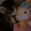 user_zzzz2i