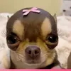 cliodhnamc