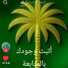 alking1461990