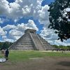 vine_359