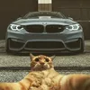 m_aks36