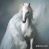 mustafo_9010