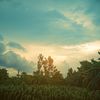 yamin.khondokar7