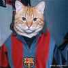 tarek988hjbk2