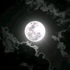 mjeed_mo_67