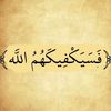 shref.ashraf03